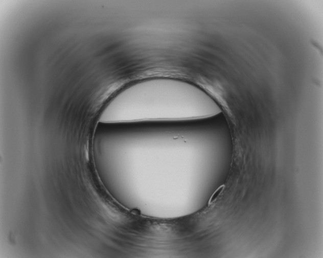 X0000096200062200801181040