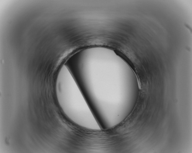 X0000096200064200801181040