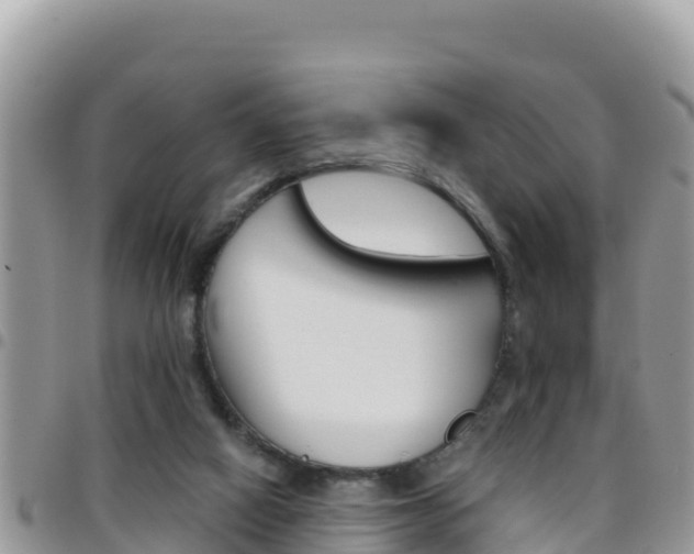 X0000096200066200801181040
