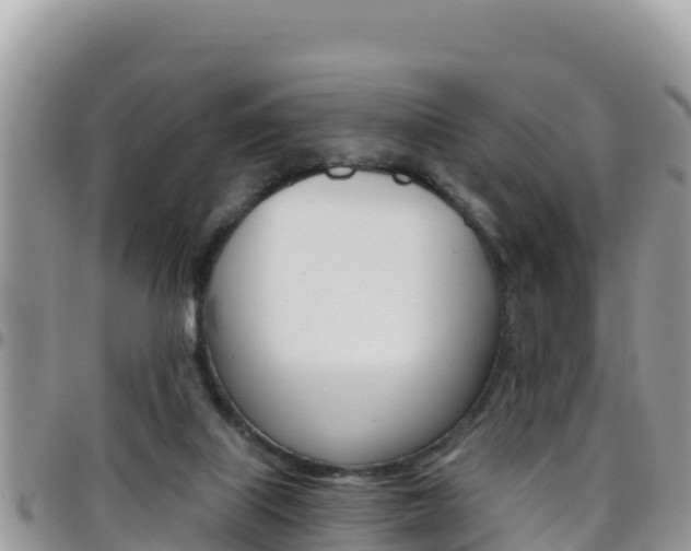 X0000096200067200801181040