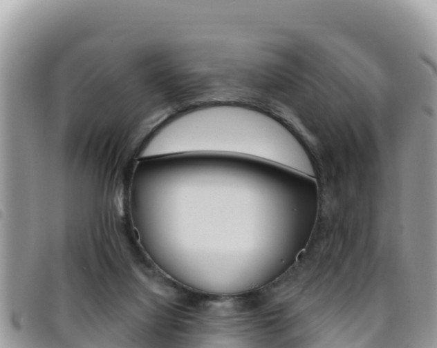 X0000096200068200801181040