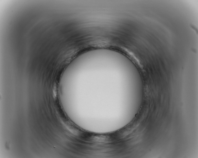 X0000096200069200801181040
