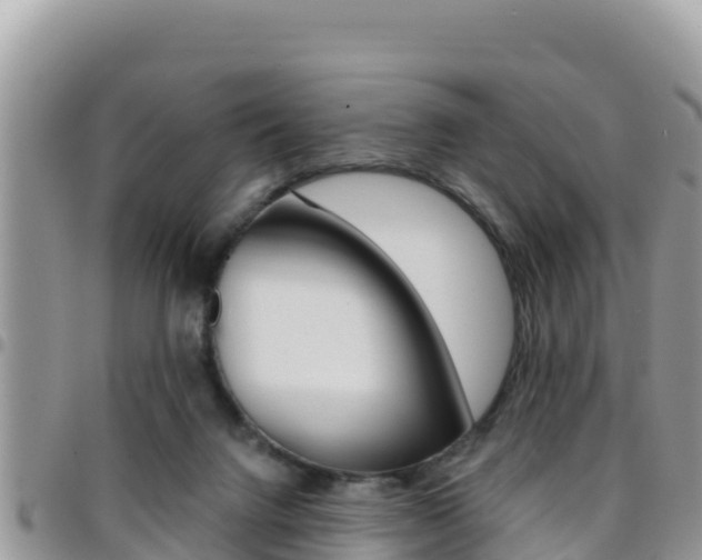 X0000096200072200801181040