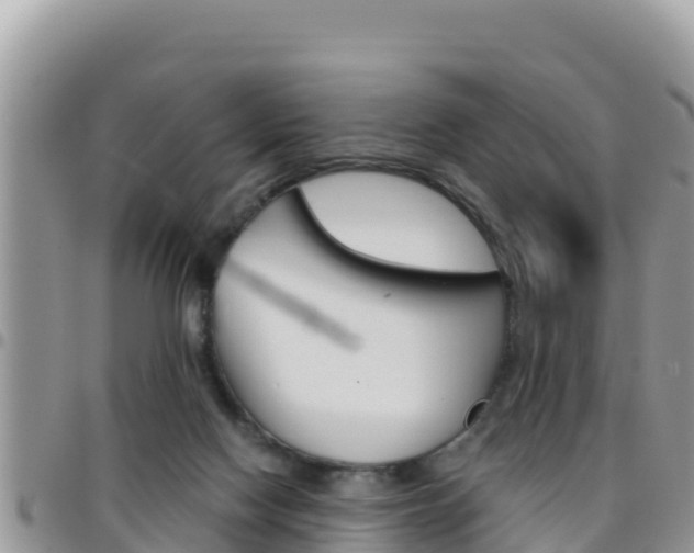 X0000096200074200801181040