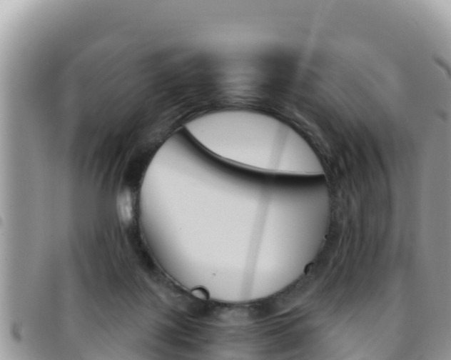 X0000096200075200801181040