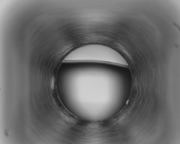 X0000096200076200801181040