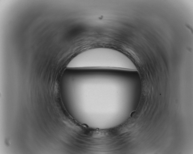 X0000096200077200801181040