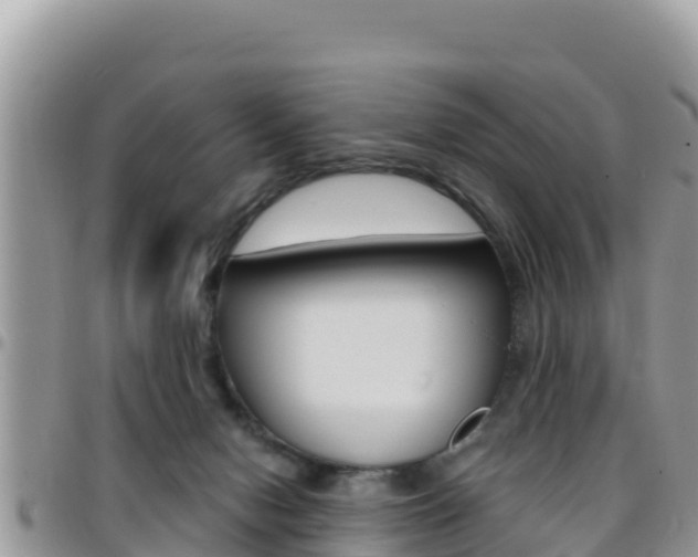 X0000096200078200801181040