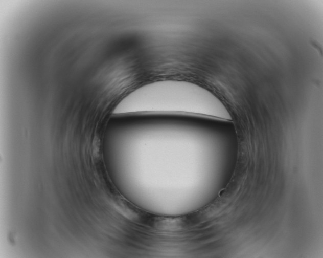 X0000096200081200801181040
