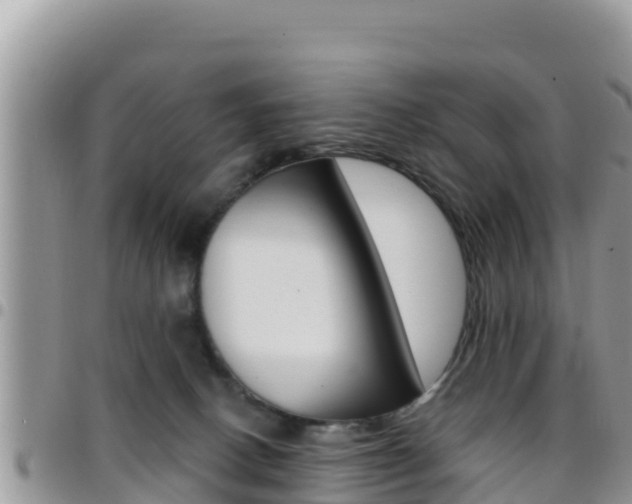 X0000096200082200801181040
