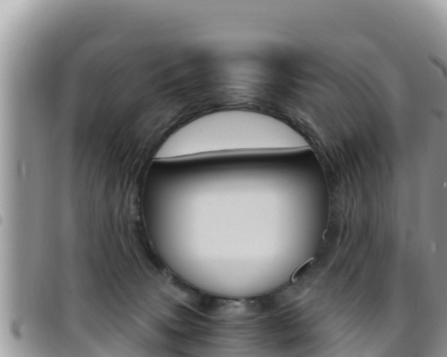X0000096200083200801181040