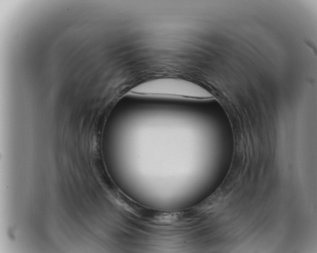 X0000096200084200801181040