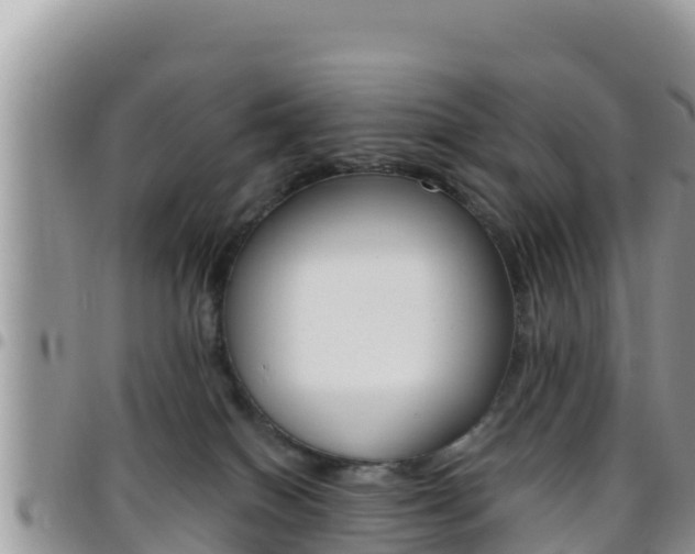 X0000096200086200801181040