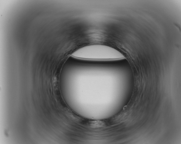 X0000096200087200801181041