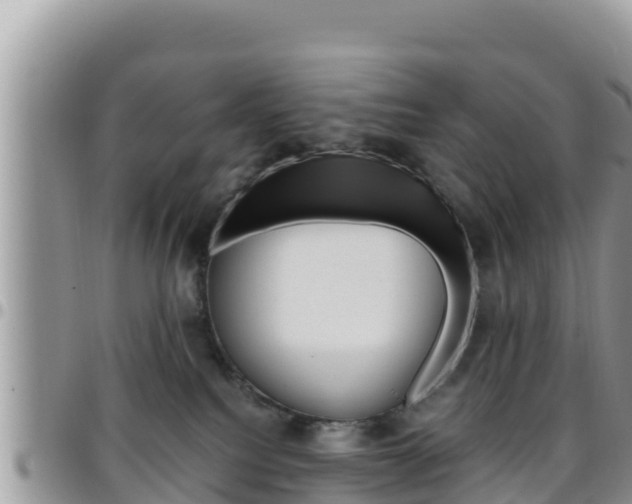 X0000096200088200801181041