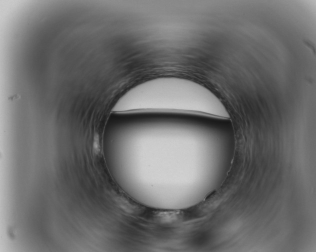 X0000096200089200801181041