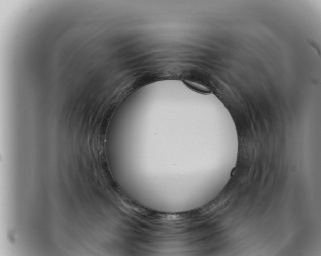 X0000096200091200801181041