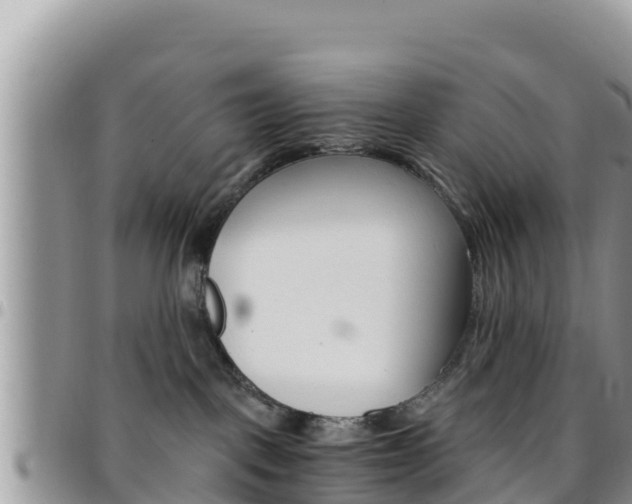 X0000096200093200801181041