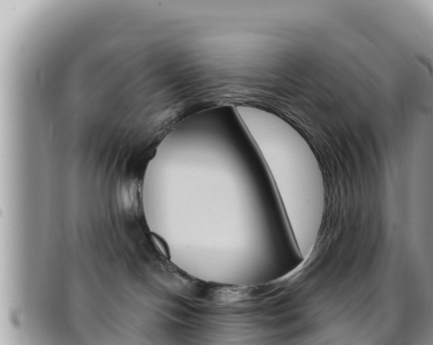 X0000096200094200801181041