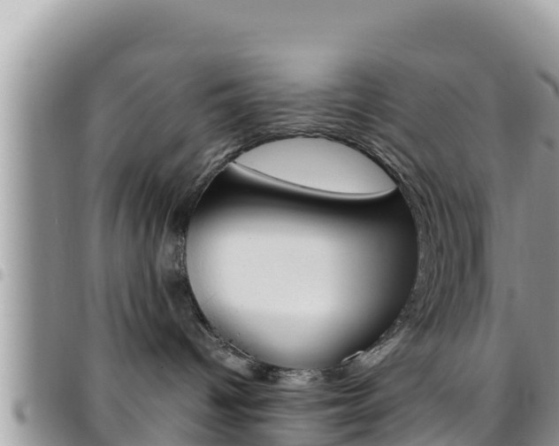 X0000096200096200801181041