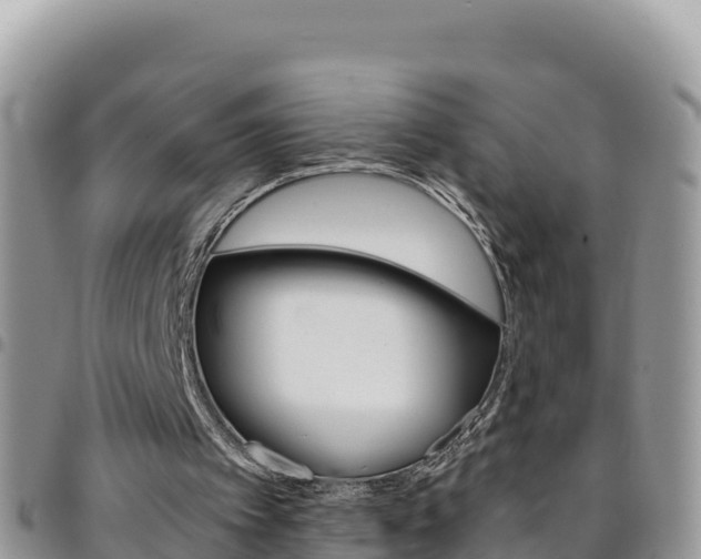 X0000096200097200801181040