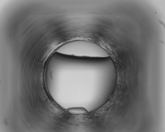 X0000096200098200801181040