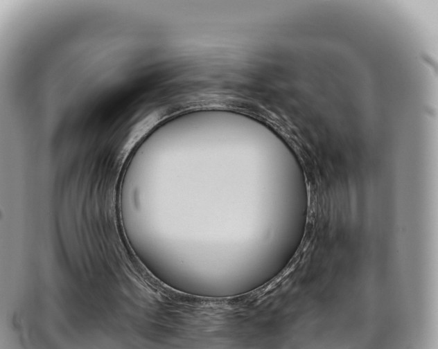 X0000096200099200801181040