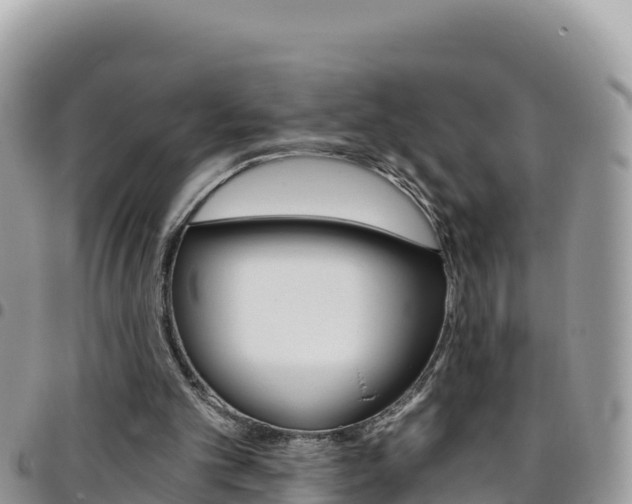 X0000096200101200801181040
