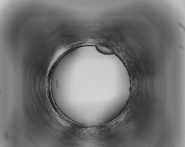 X0000096200102200801181040