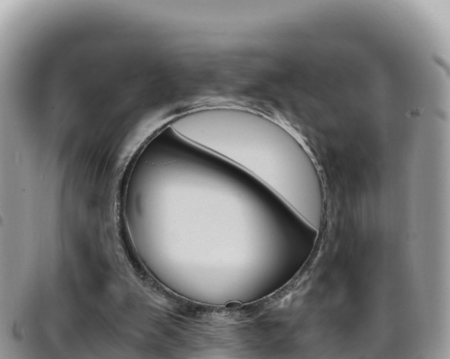 X0000096200103200801181040