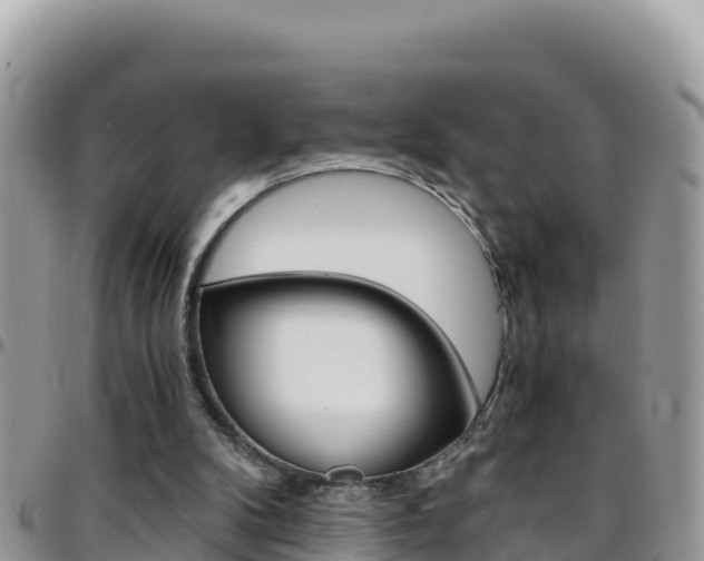 X0000096200104200801181040