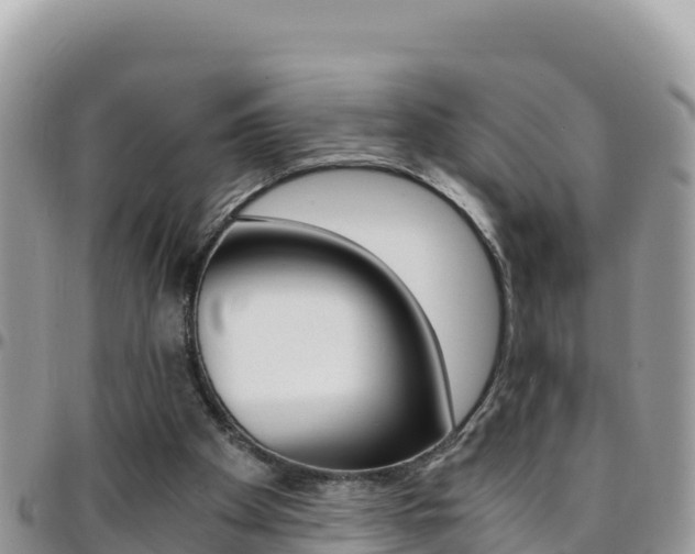 X0000096200105200801181040