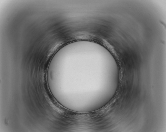 X0000096200106200801181040
