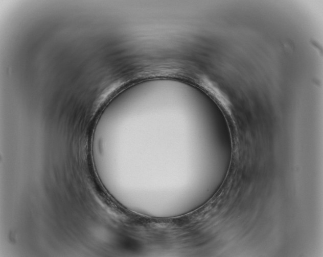 X0000096200107200801181040