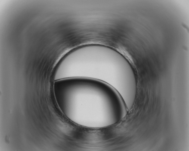 X0000096200108200801181040