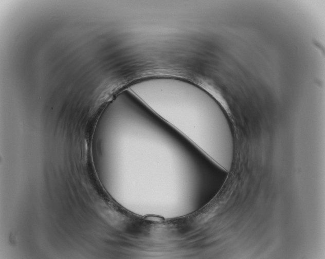 X0000096200109200801181040