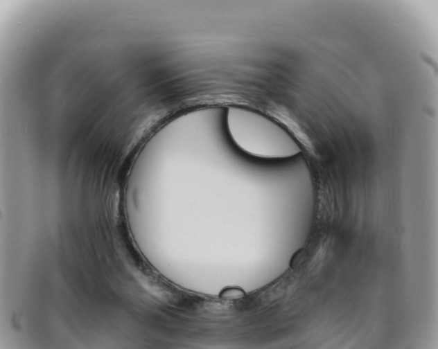 X0000096200110200801181040