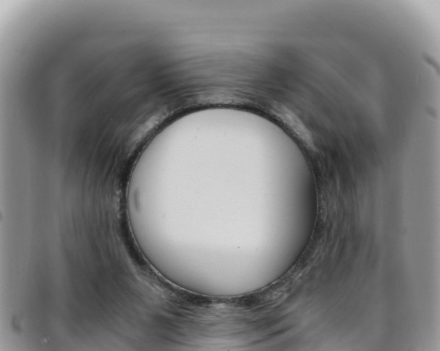 X0000096200111200801181040