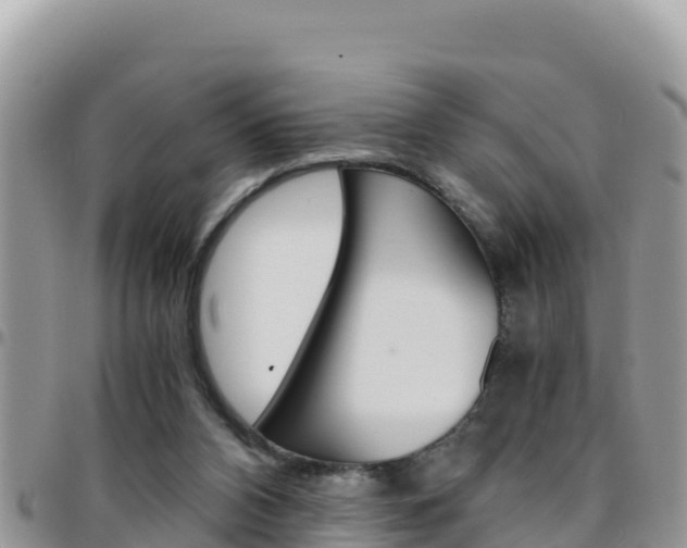 X0000096200112200801181040