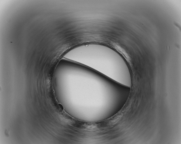 X0000096200113200801181040