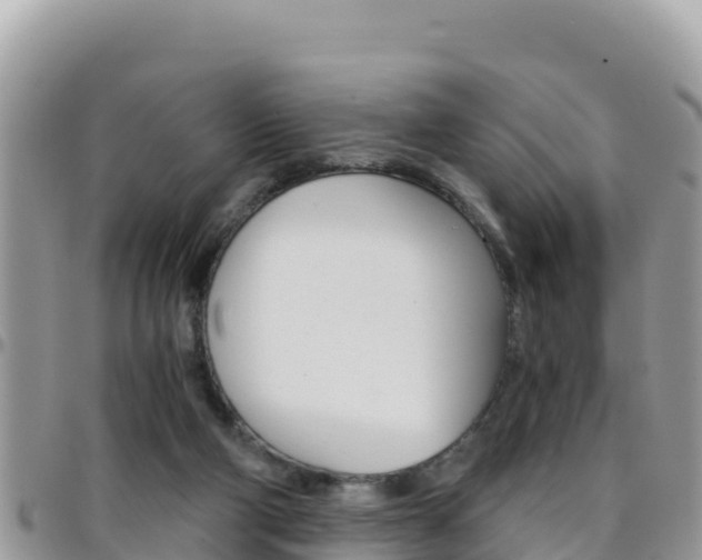 X0000096200114200801181040