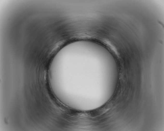 X0000096200115200801181040