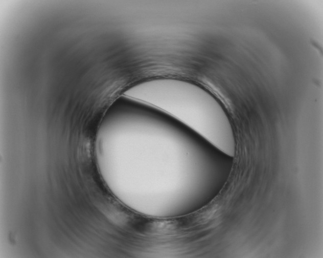 X0000096200117200801181040