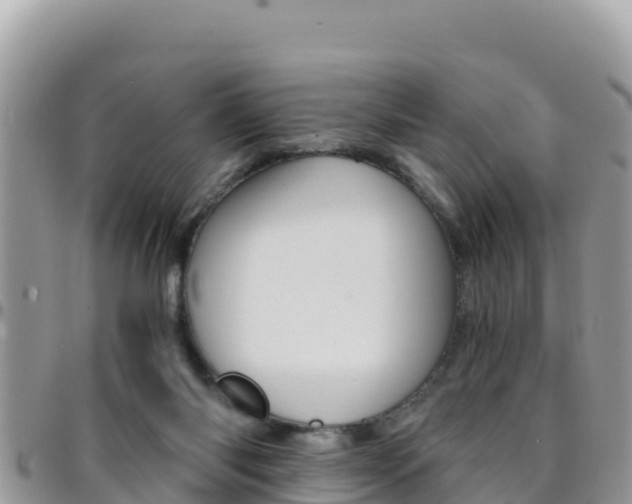 X0000096200118200801181040