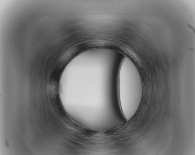 X0000096200119200801181040