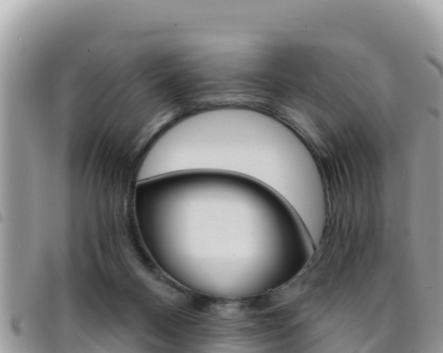 X0000096200120200801181040