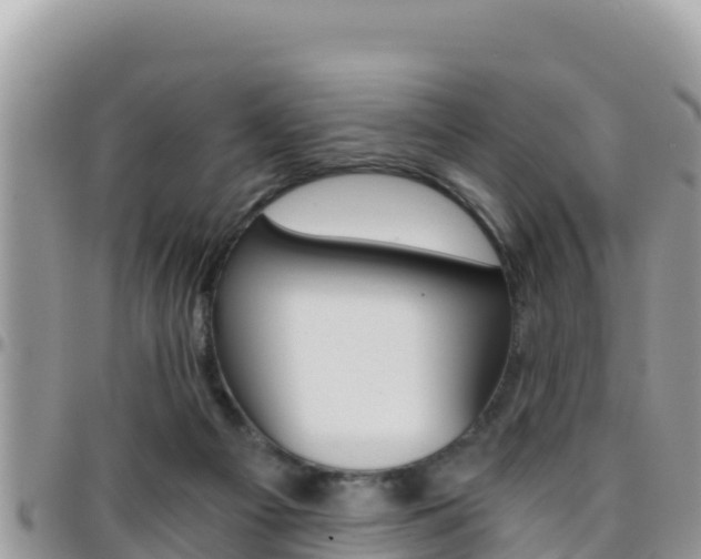 X0000096200121200801181040