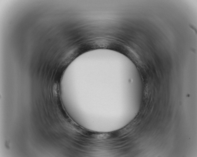 X0000096200122200801181040