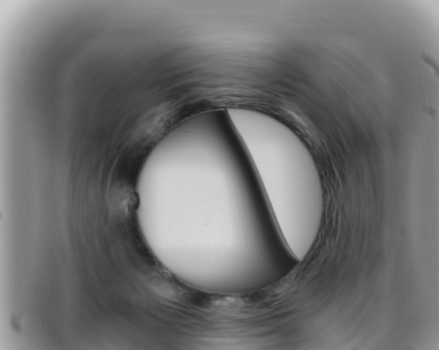 X0000096200125200801181040