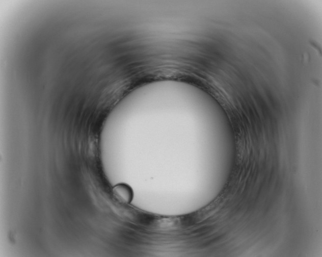 X0000096200126200801181040